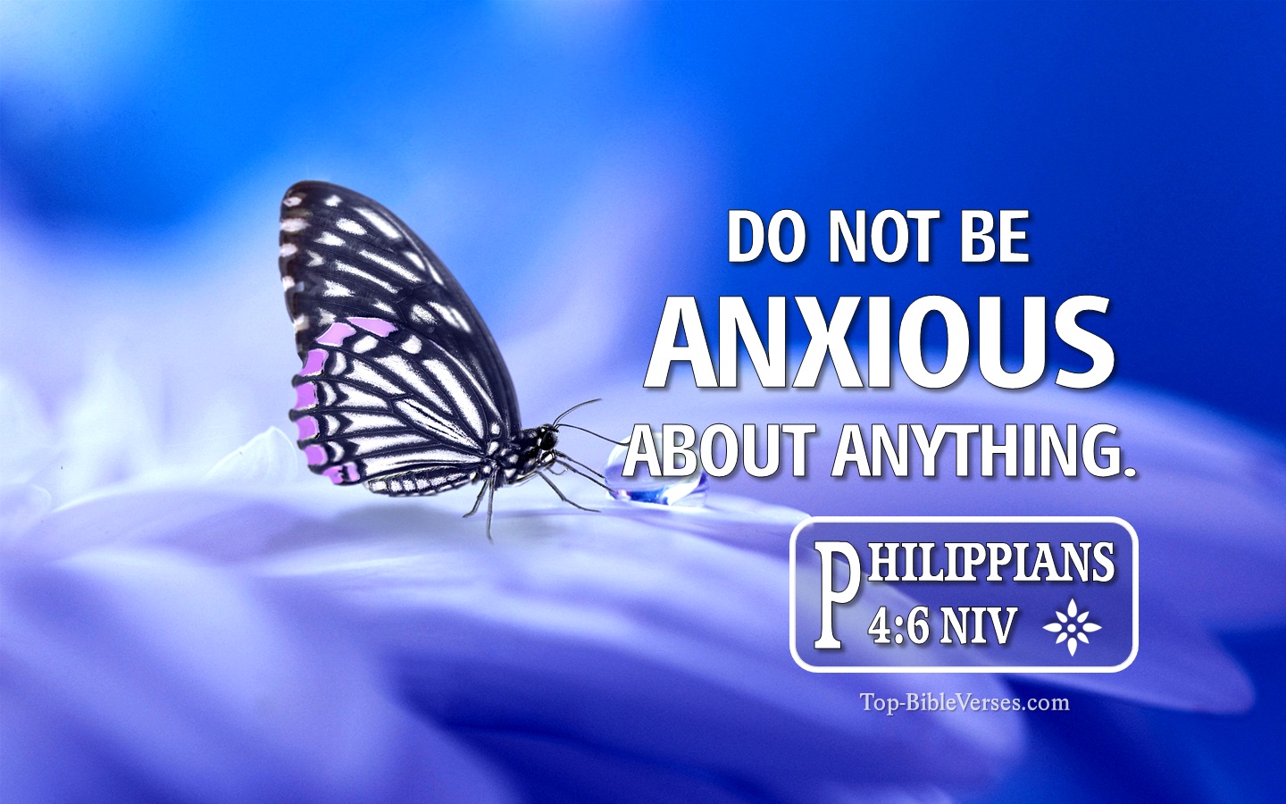 Philippians 4:6 NIV Inspirational Bible Verse Images. Top-BibleVerses.com
