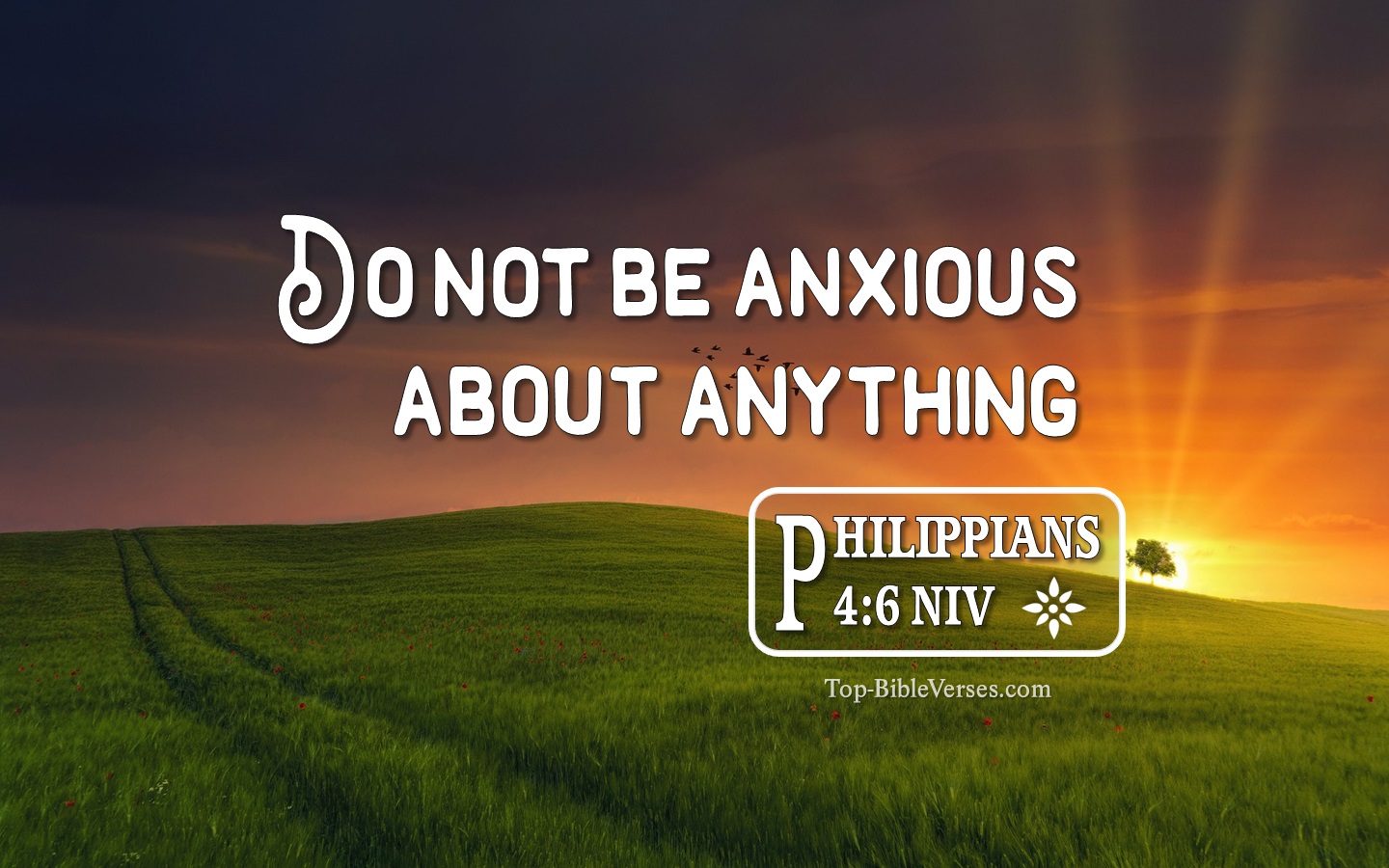 Philippians 4:6 NIV Inspirational Bible Verse Images. Top-BibleVerses.com
