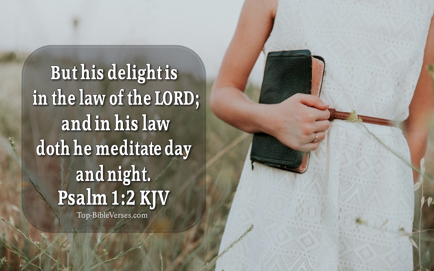 Psalm 1:2 KJV Inspirational Bible Verse Images | Bible Quotes