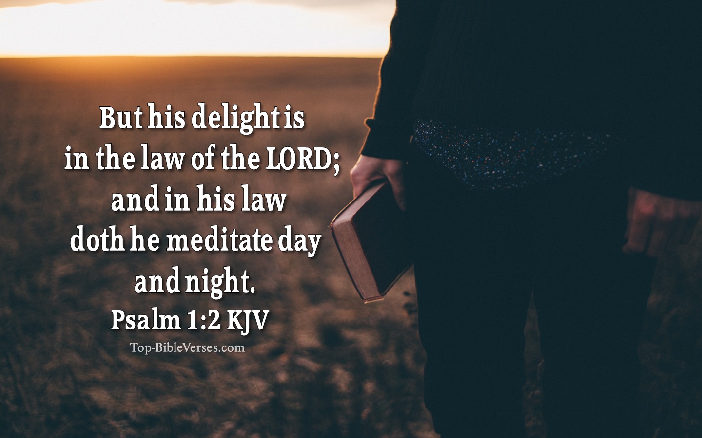 Psalm 1:2 KJV Inspirational Bible Verse Images And Pictures