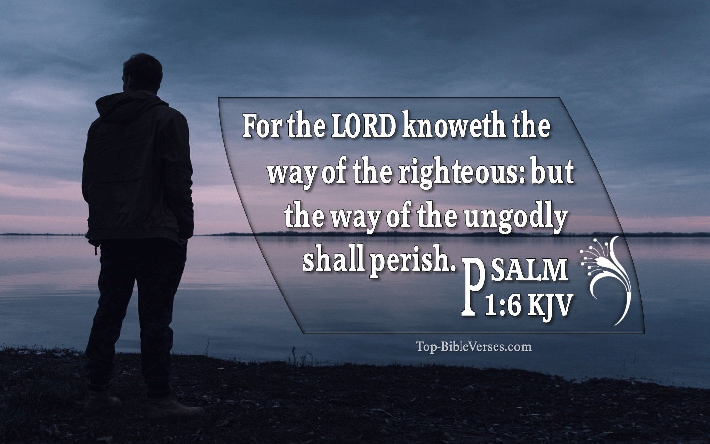 Psalm 1:6 KJV Bible Verse Images