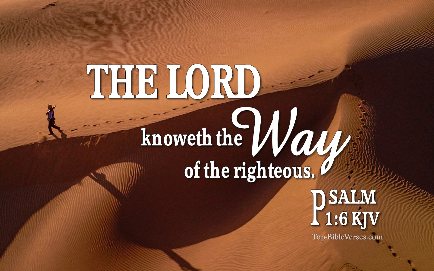 For the LORD knoweth the way of the righteous: but the way of the ungodly shall perish. - Bible Verse Images