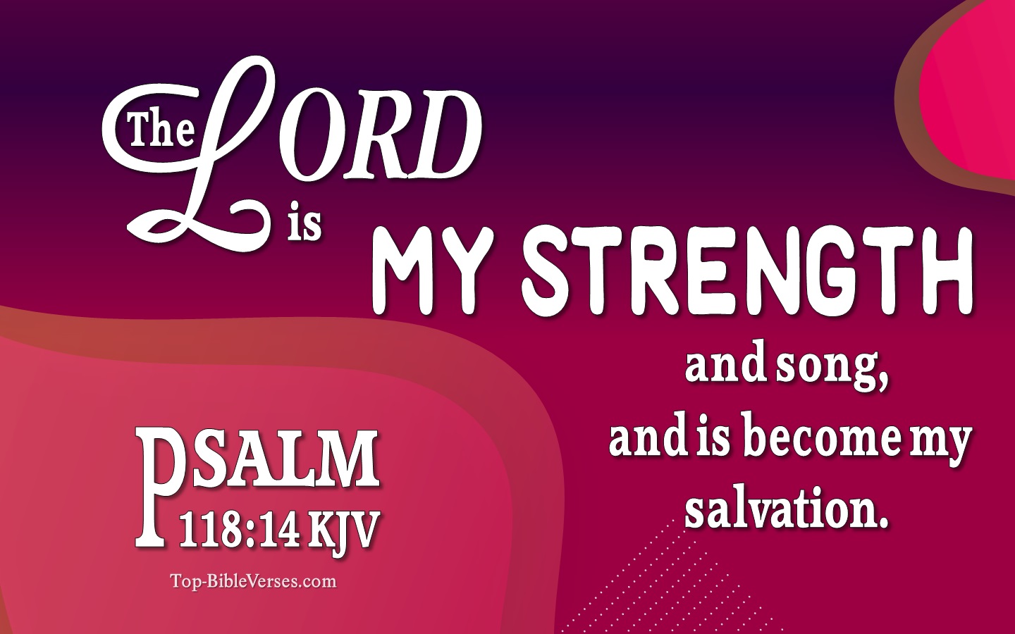 Psalm 118:14 KJV - The LORD is my strength and song, and is become my salvation. 