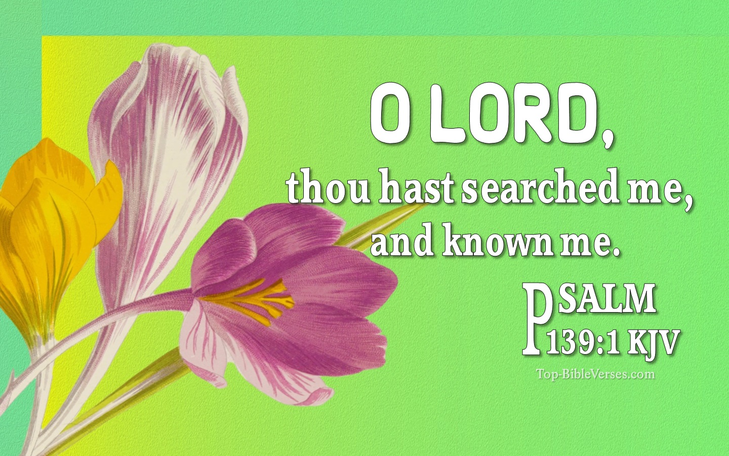 Psalm 139:1 KJV Inspirational Bible Verse Images And Pictures