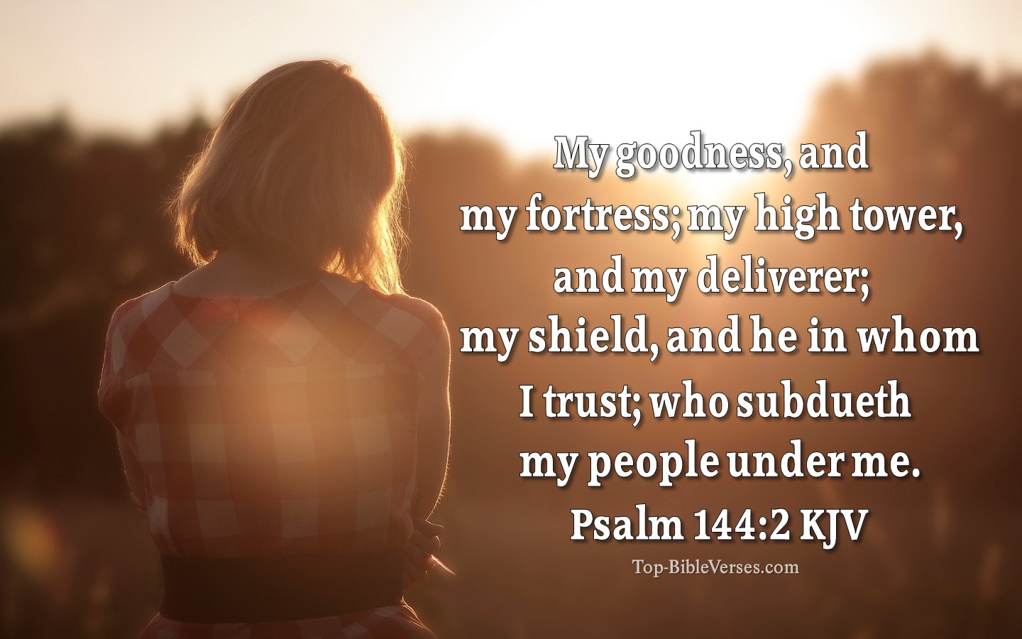 My goodness, and my fortress; my high tower, and my deliverer; my shield, and he in whom I trust; who subdueth my people under me.  - Bible Verse Images