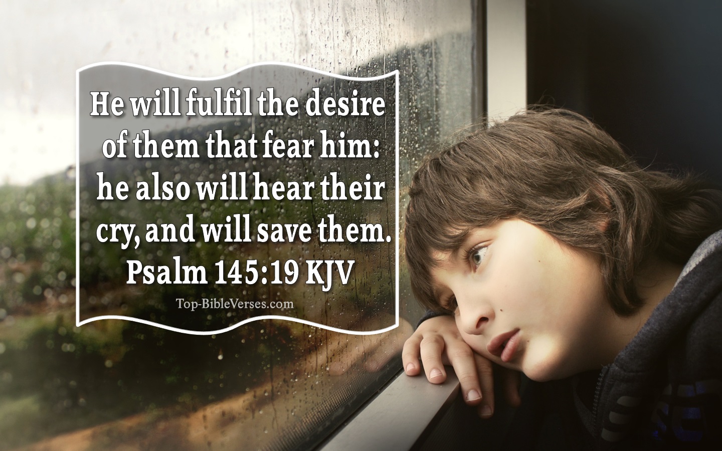 Psalm 145:19 KJV Bible Verse Images