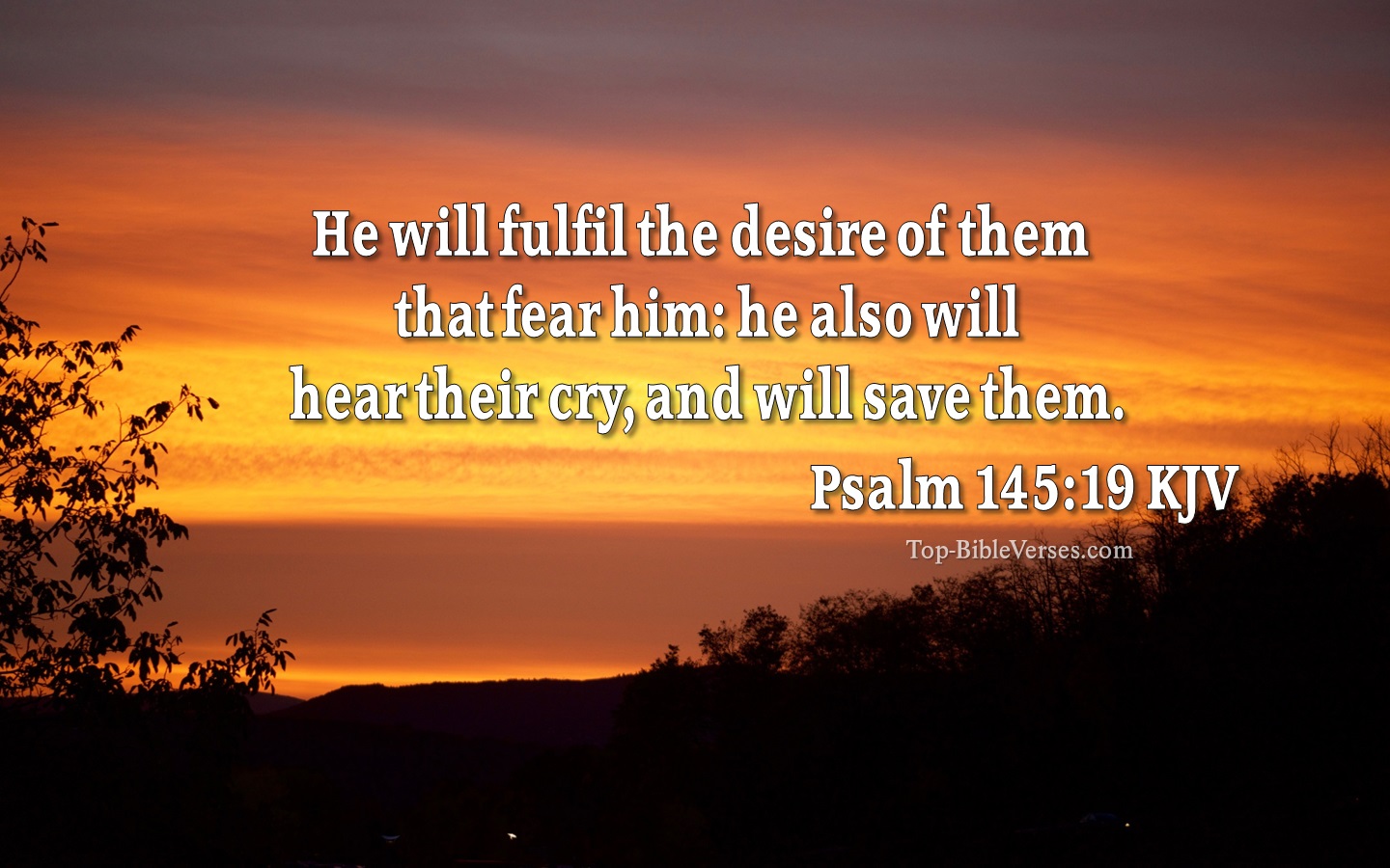 Psalm 145:19 Bible Verse Images