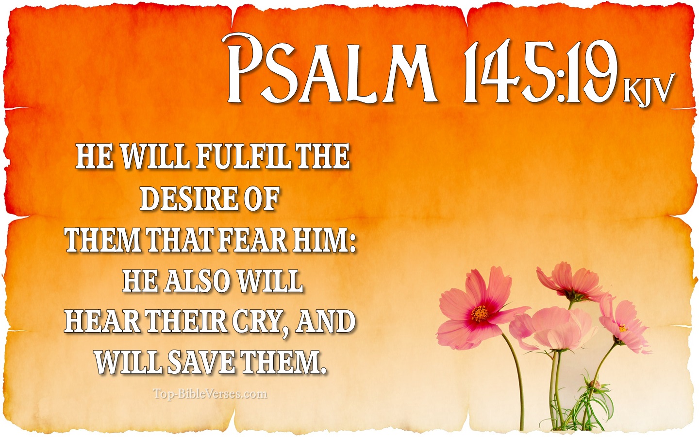 Psalm 145:19 KJV Inspirational Bible Verse Images And Pictures
