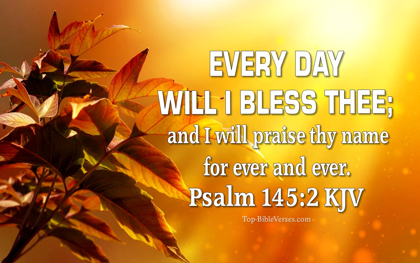 Every day will I bless thee; and I will praise thy name for ever and ever. - Bible Verse Images