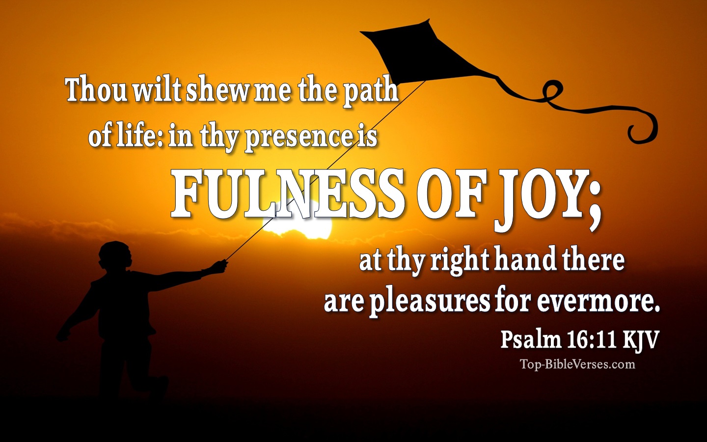 Psalm 16:11 KJV Inspirational Bible Verse Images And Pictures