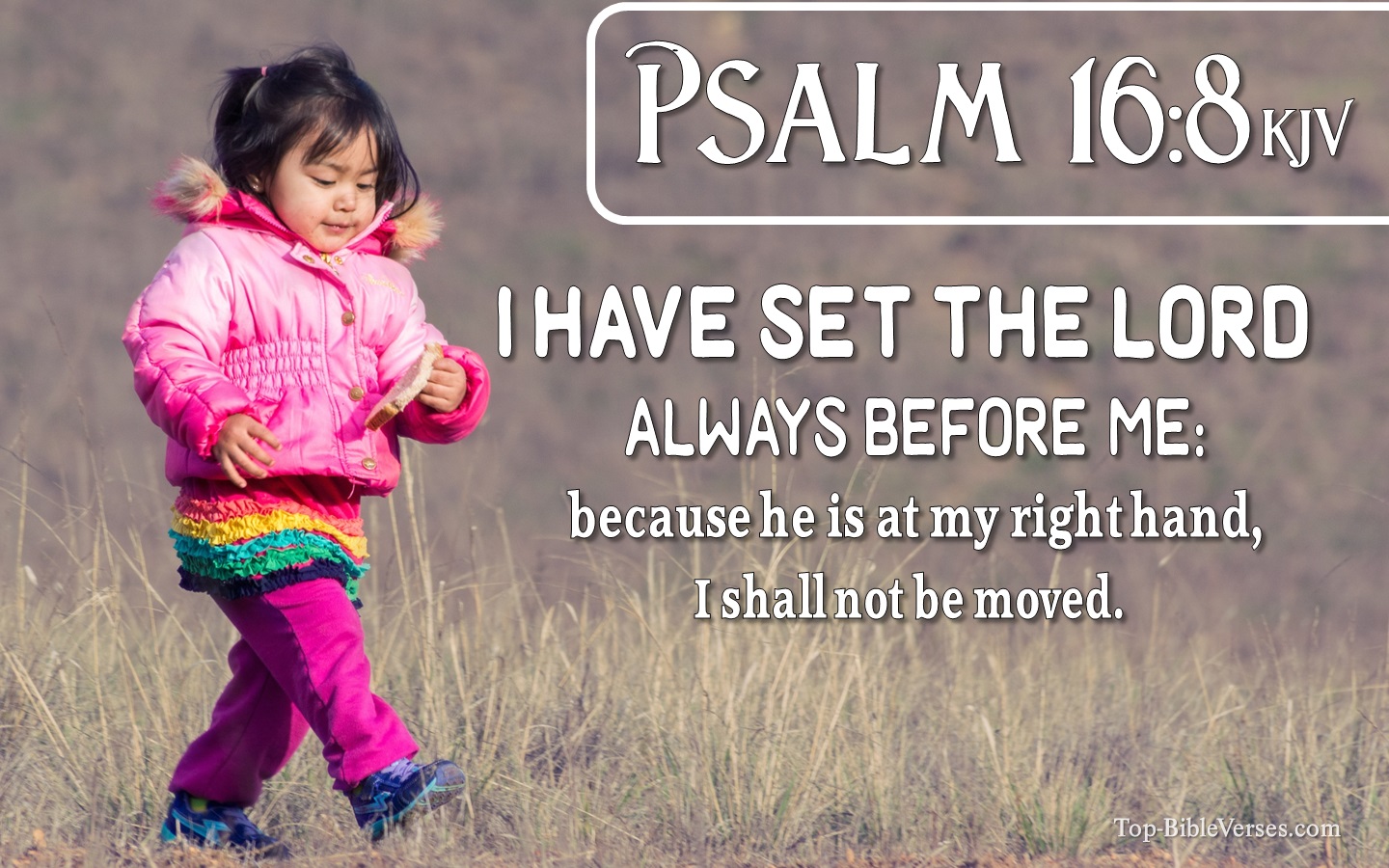 Psalm 16:8 Bible Verse Images