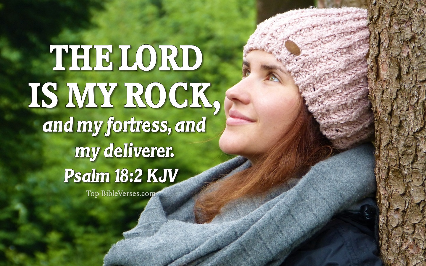 Psalm 18:2 Bible Verse Images
