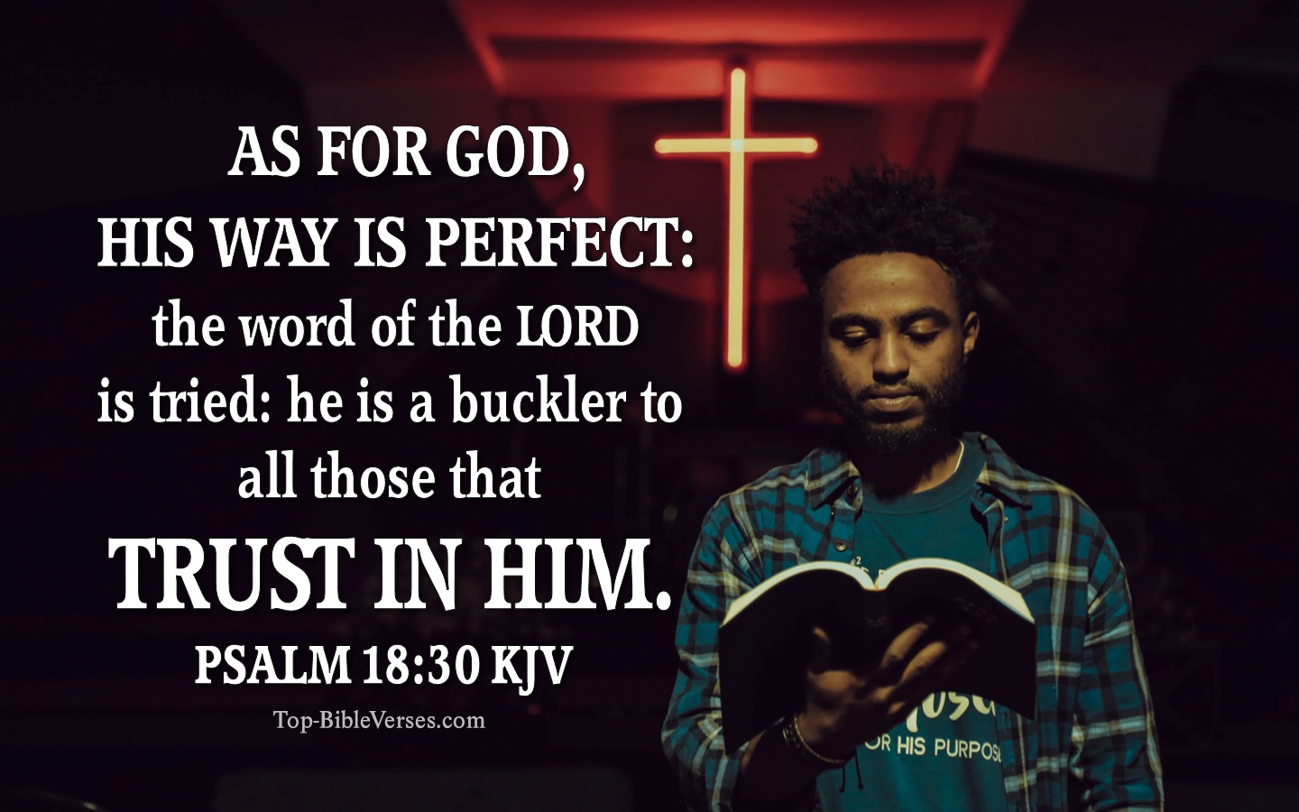 As for God, his way is perfect: the word of the LORD is tried: he is a buckler to all those that trust in him. - Bible Verse Images
