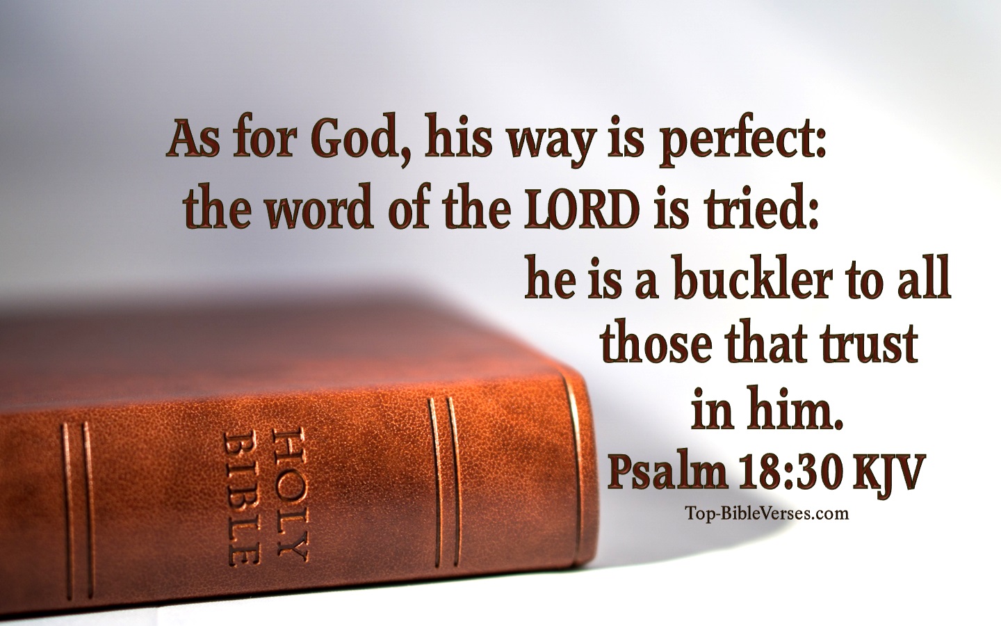 Psalm 18:30 KJV Bible Quotes And Images