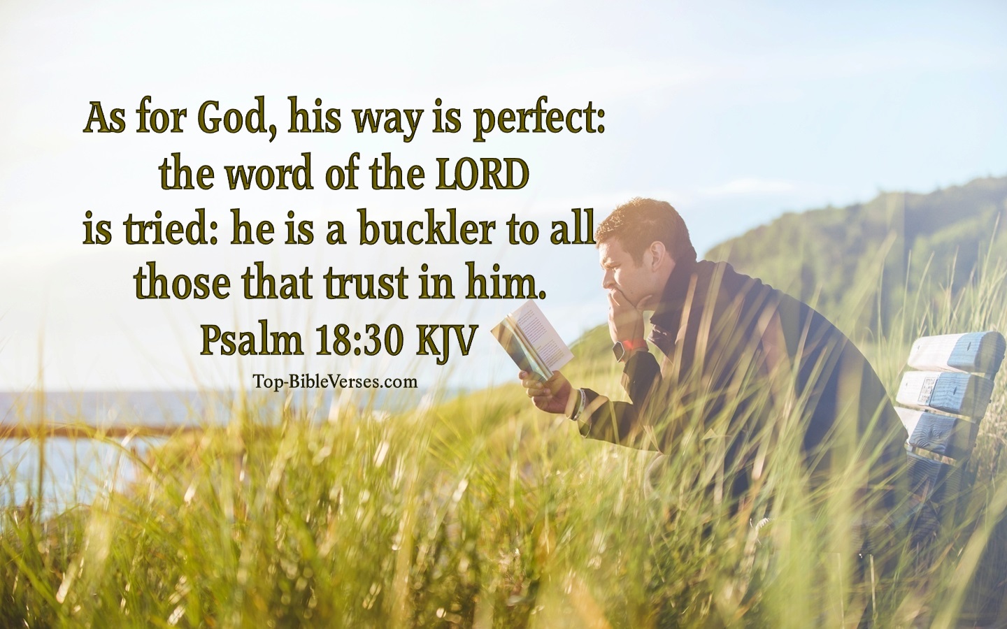 Psalm 18:30 KJV Inspirational Bible Verse Images And Pictures