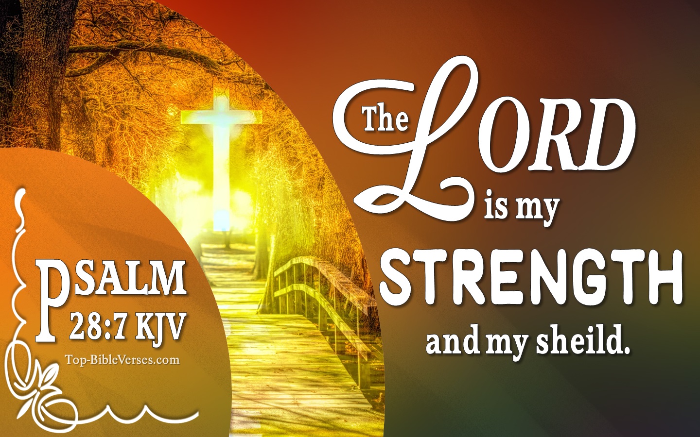 Psalm 28:7 KJV - The LORD is my strength and my shield; my heart trusted in him, and I am helped.