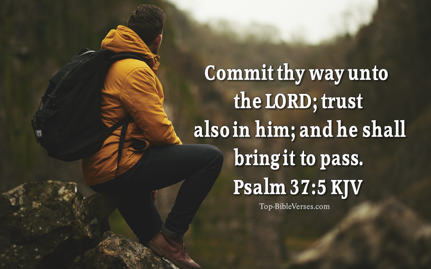 Psalm 37:5 KJV - Commit thy way unto the LORD; trust also in him; and he shall bring it to pass.