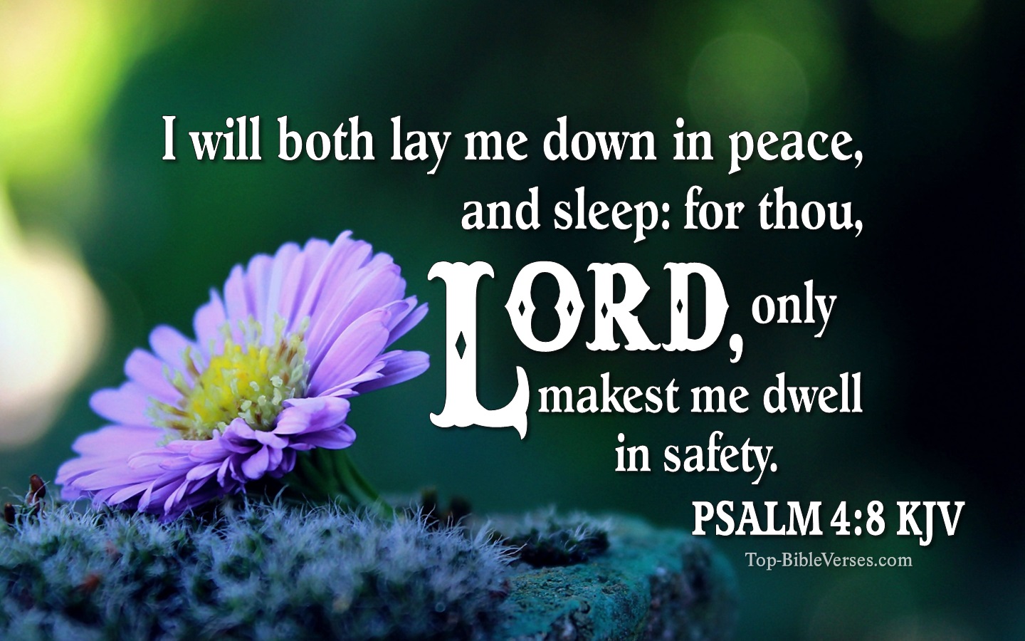 Psalm 4:8 Bible Verse Images