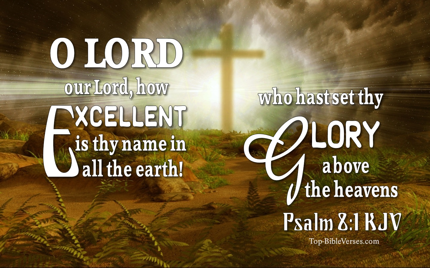 O LORD our Lord, how excellent is thy name in all the earth! who hast set thy glory above the heavens. - Bible Verse Images
