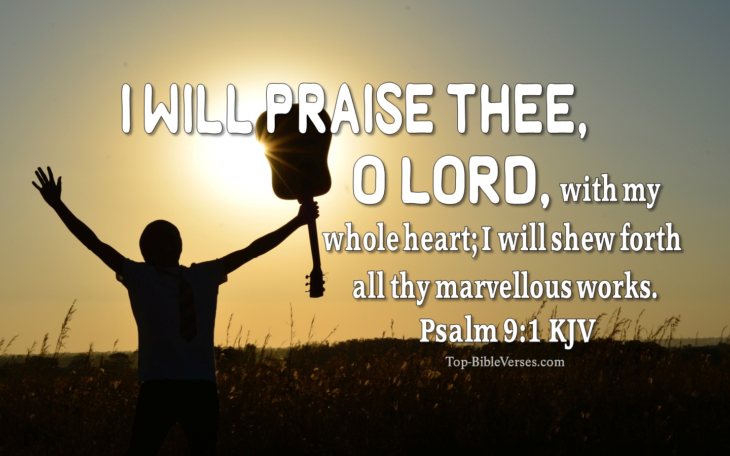 Psalm 9:1 KJV Bible Verse Images