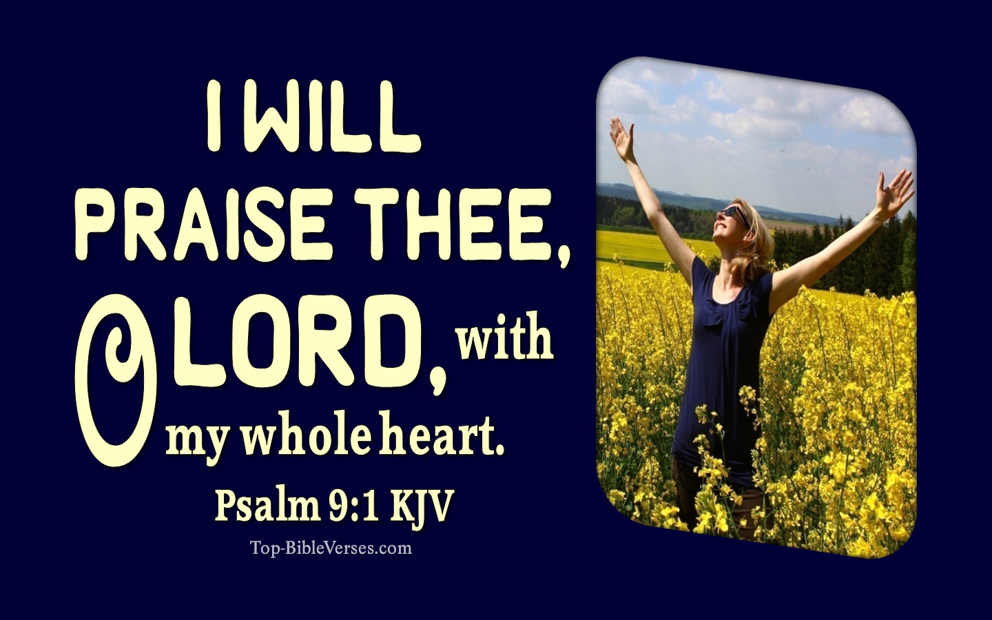 I will praise thee, O LORD, with my whole heart; I will shew forth all thy marvellous works. - Bible Verse Images