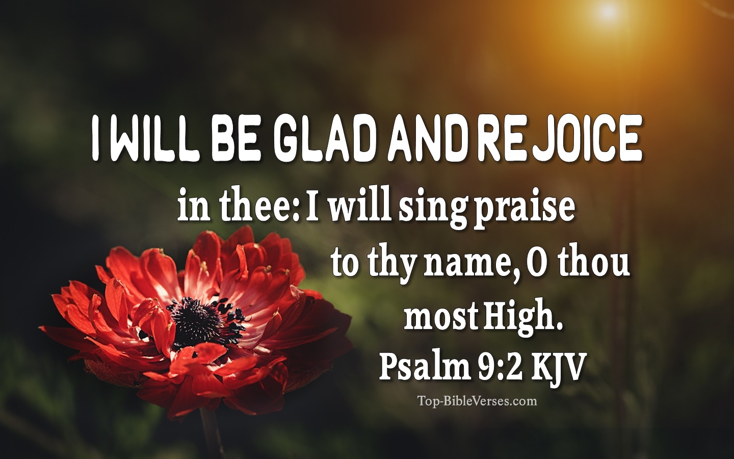 I will be glad and rejoice in thee: I will sing praise to thy name, O thou most High. - Bible Verse Images