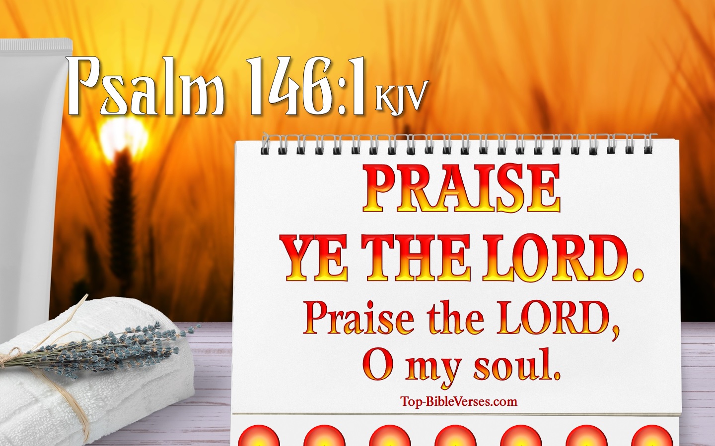 Psalm 146:1 Bible Verse Images