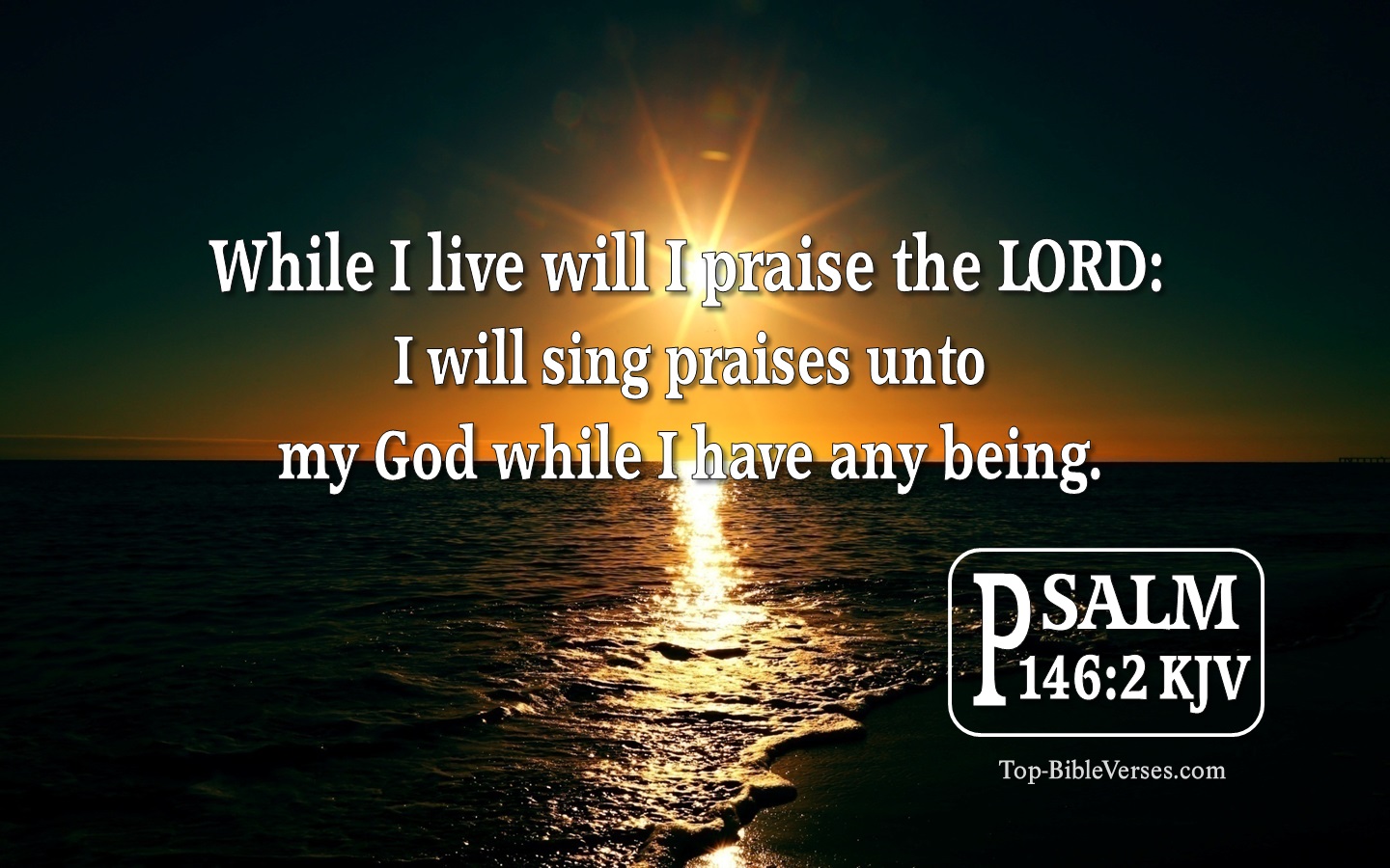 While I live will I praise the LORD: I will sing praises unto my God while I have any being. - Bible Verse Images