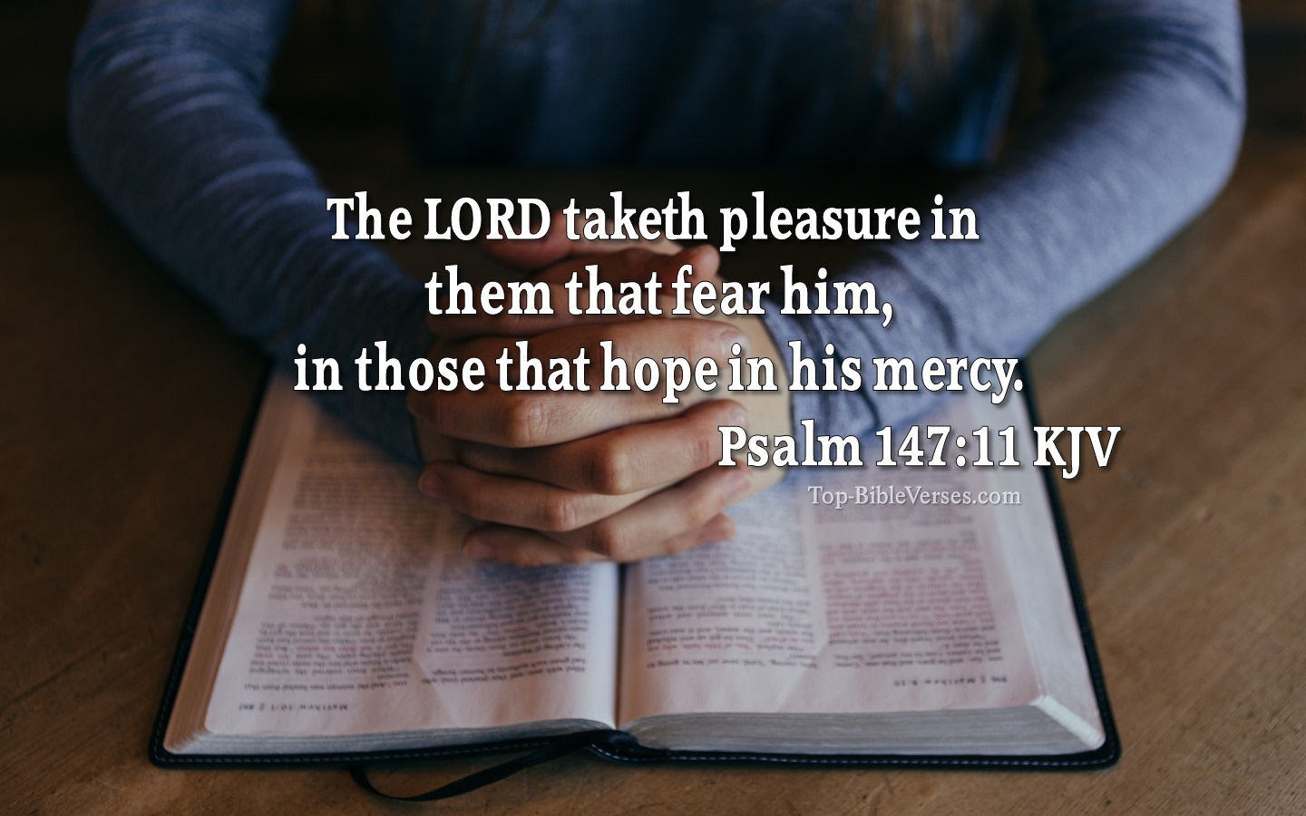 The LORD taketh pleasure in them that fear him, in those that hope in his mercy. - Bible Verse Images