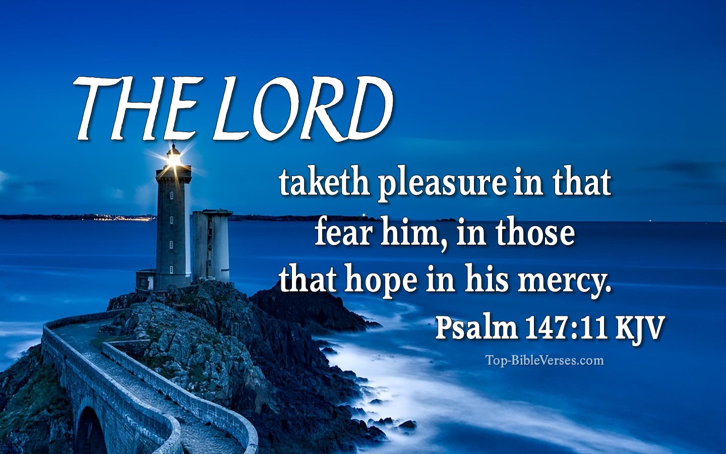 Psalm 147:11 KJV Inspirational Bible Verse Images And Pictures