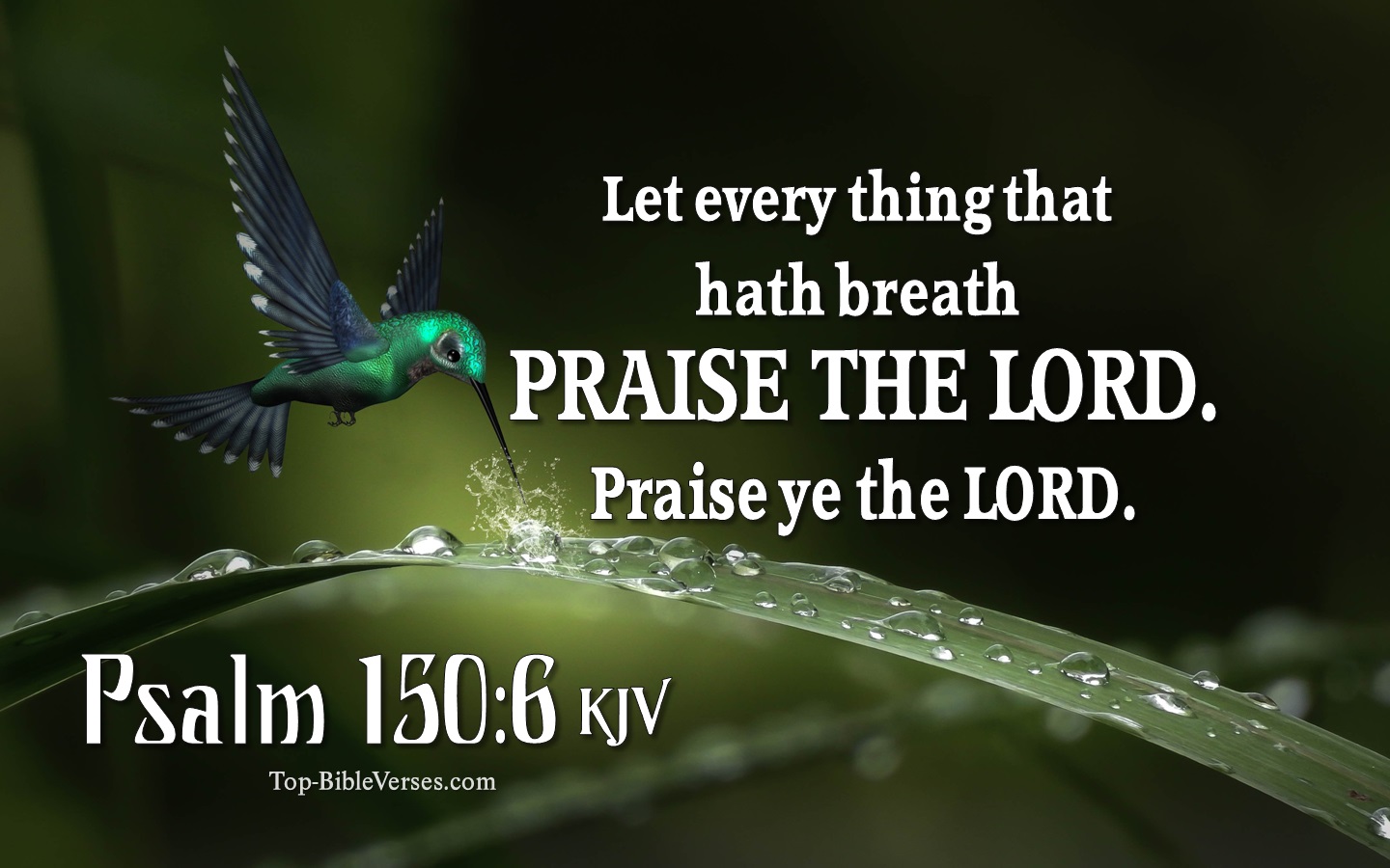 Psalm 150:6 KJV Inspirational Bible Verse Images | Bible Quotes