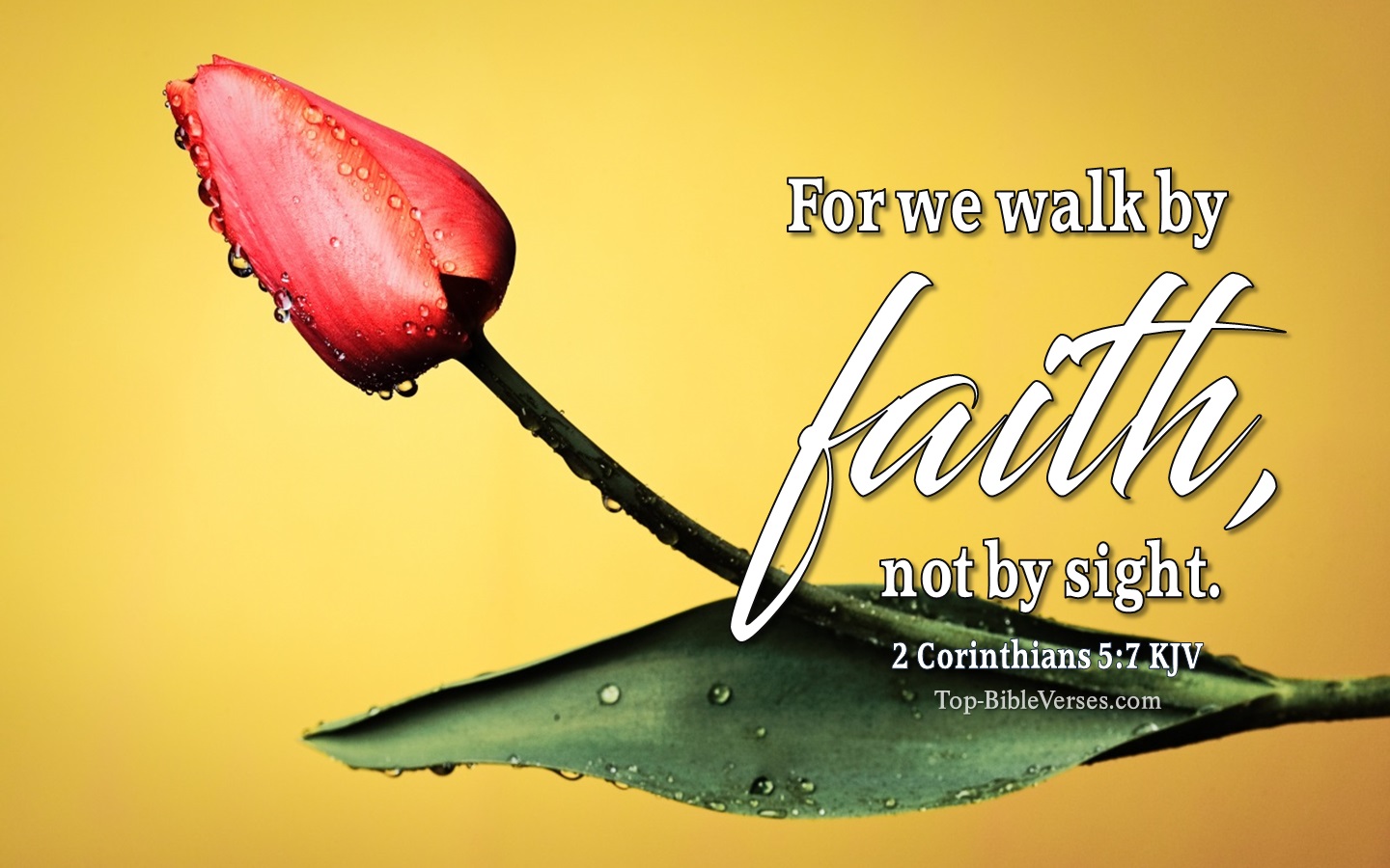 2 Corinthians 5:7 KJV Christian Bible Verse Desktop Wallpaper. Top-BibleVerses.com
