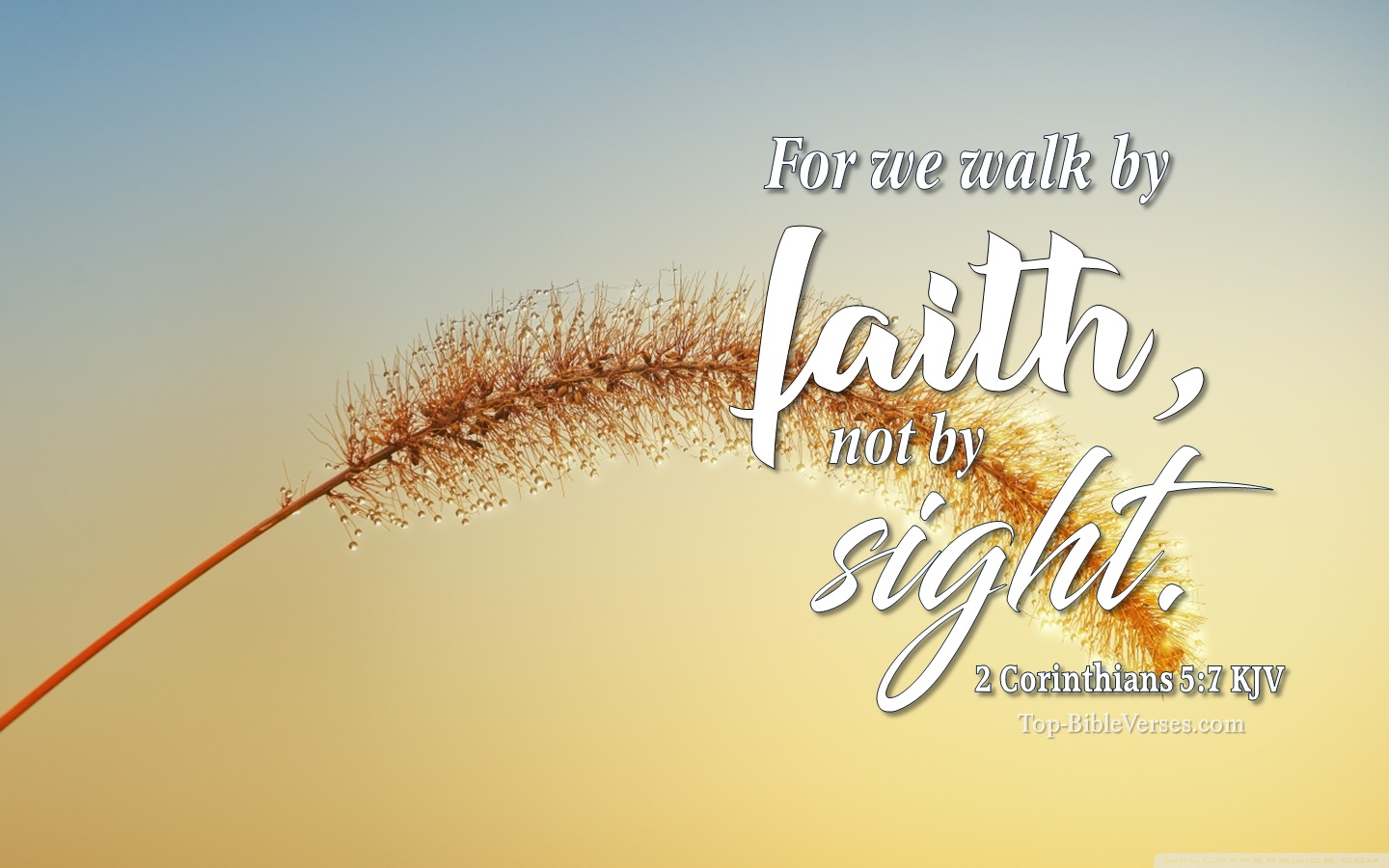 2 Corinthians 5:7 KJV Christian Bible Verse Desktop Wallpaper. Top-BibleVerses.com