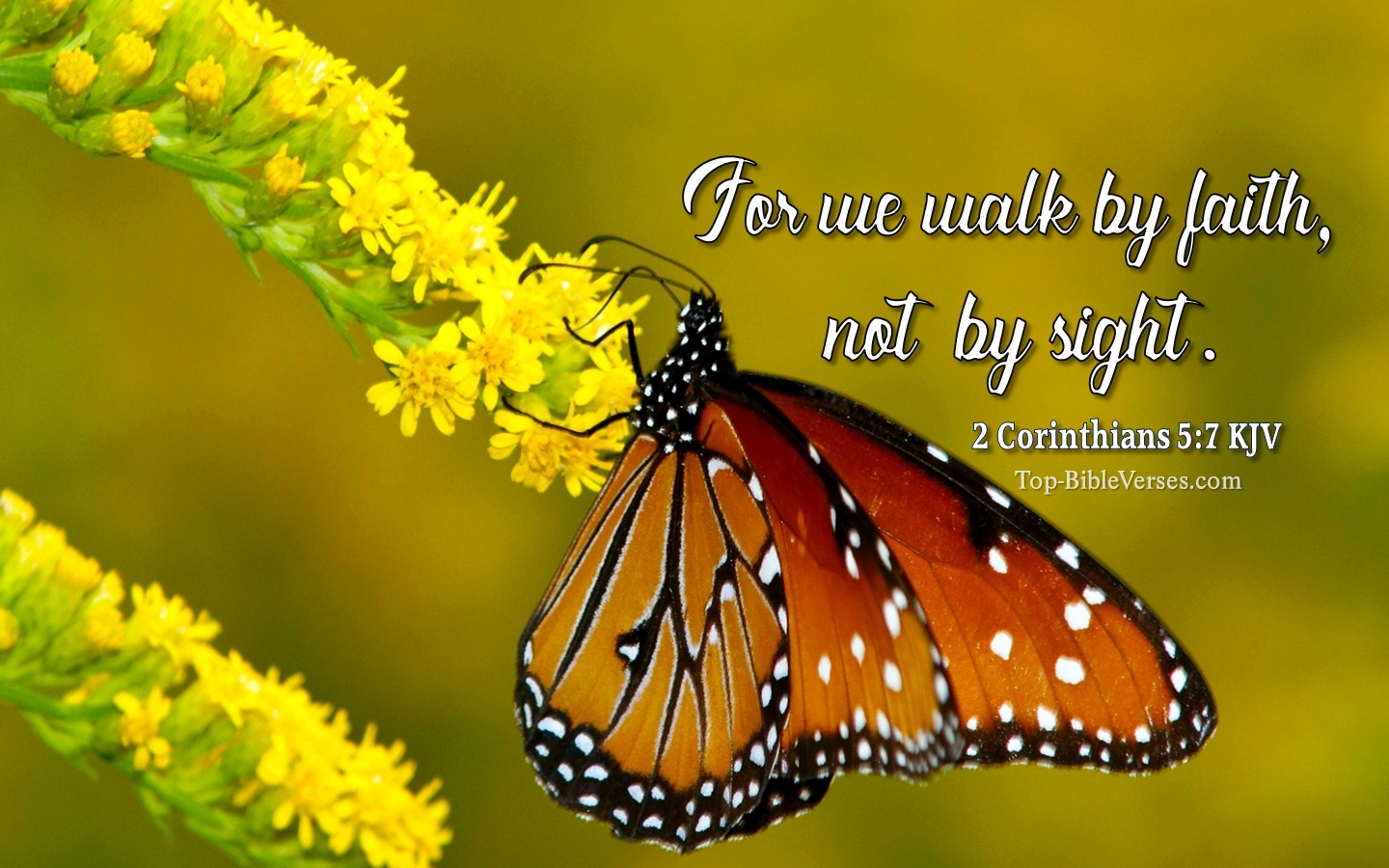 2 Corinthians 5:7 KJV Christian Bible Verse Desktop Wallpaper. Top-BibleVerses.com