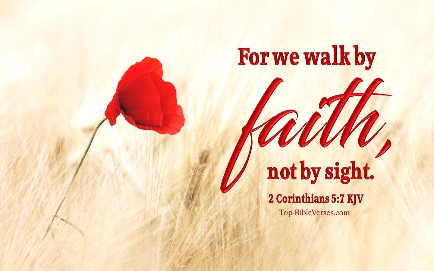 2 Corinthians 5:7 KJV Christian Bible Verse Desktop Wallpaper. Top-BibleVerses.com