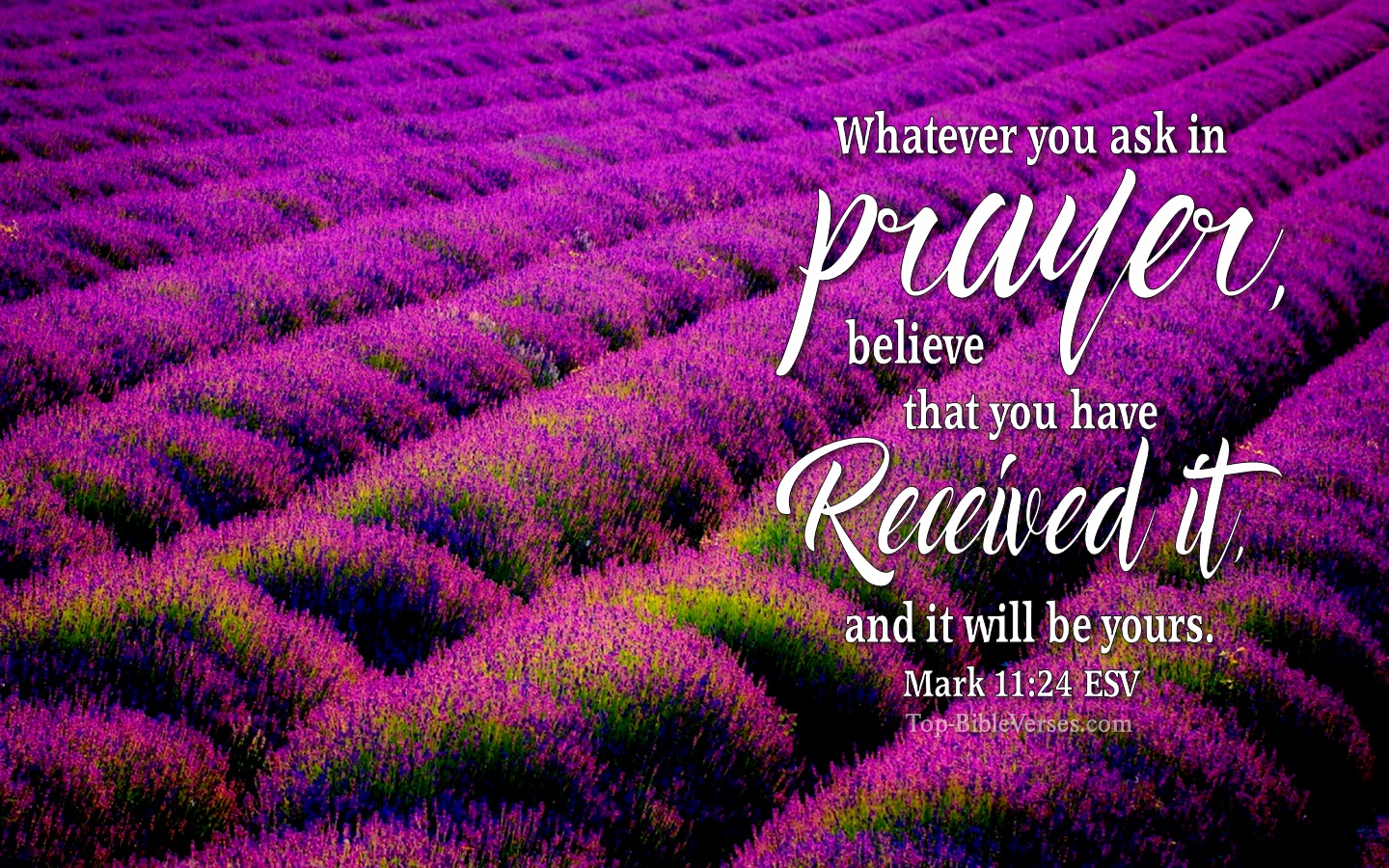 Mark 11:24 ESV Christian Bible Verse Desktop Wallpaper. Top-BibleVerses.com