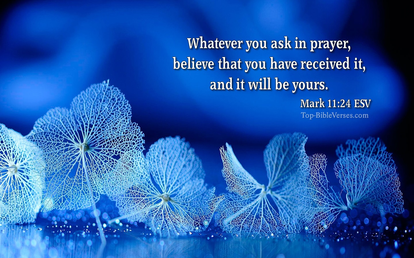 Mark 11:24 ESV Christian Bible Verse Desktop Wallpaper. Top-BibleVerses.com