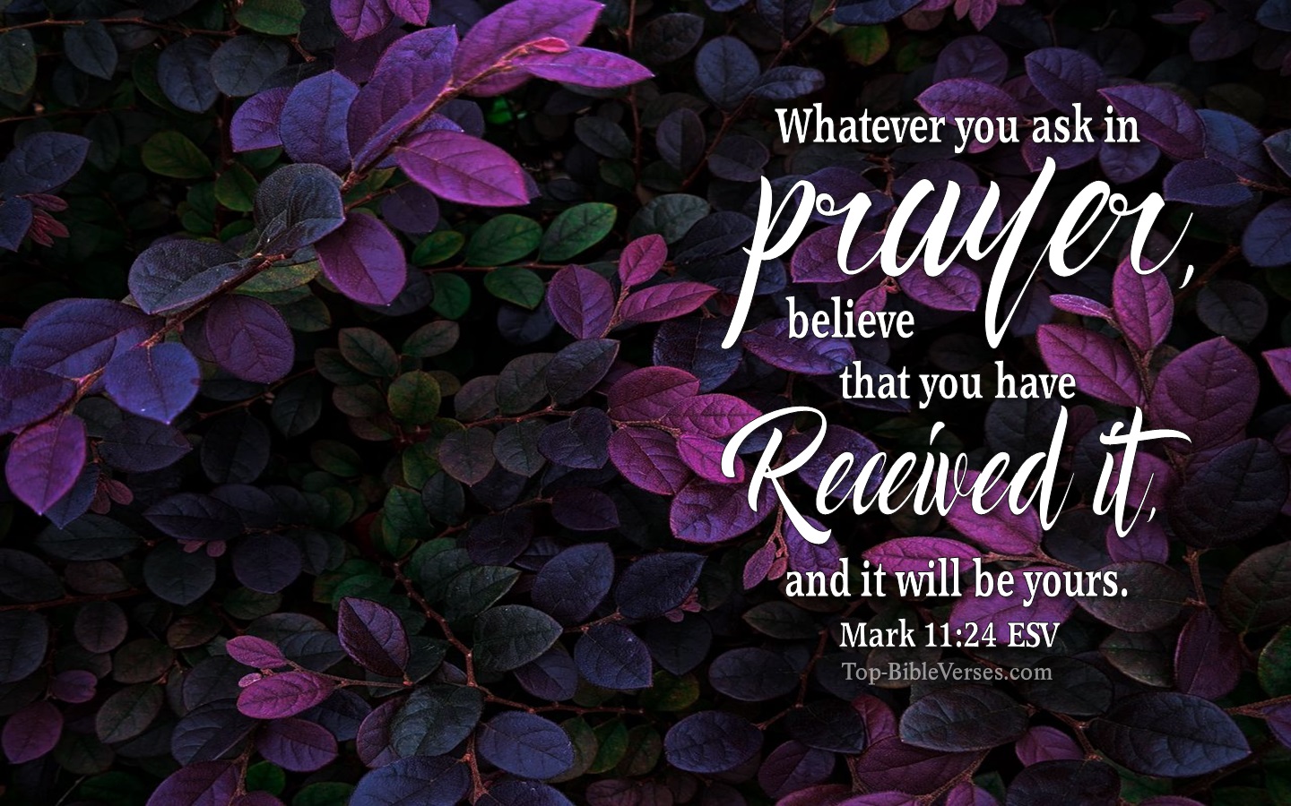 Mark 11:24 ESV Christian Bible Verse Desktop Wallpaper. Top-BibleVerses.com