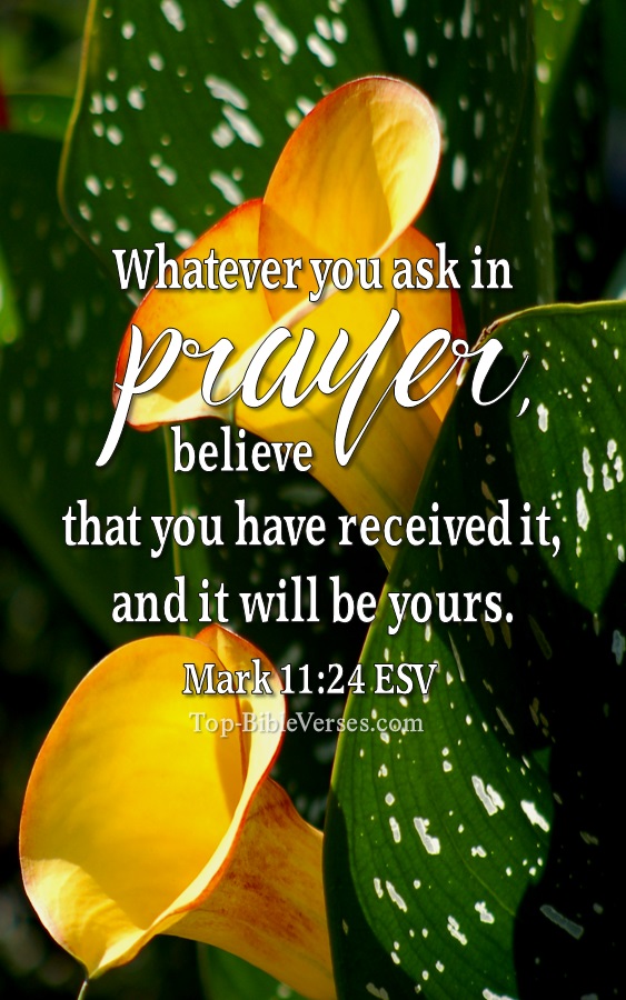 Mark 11:24 ESV Christian Bible Verse Mobile Wallpaper. Top-BibleVerses.com