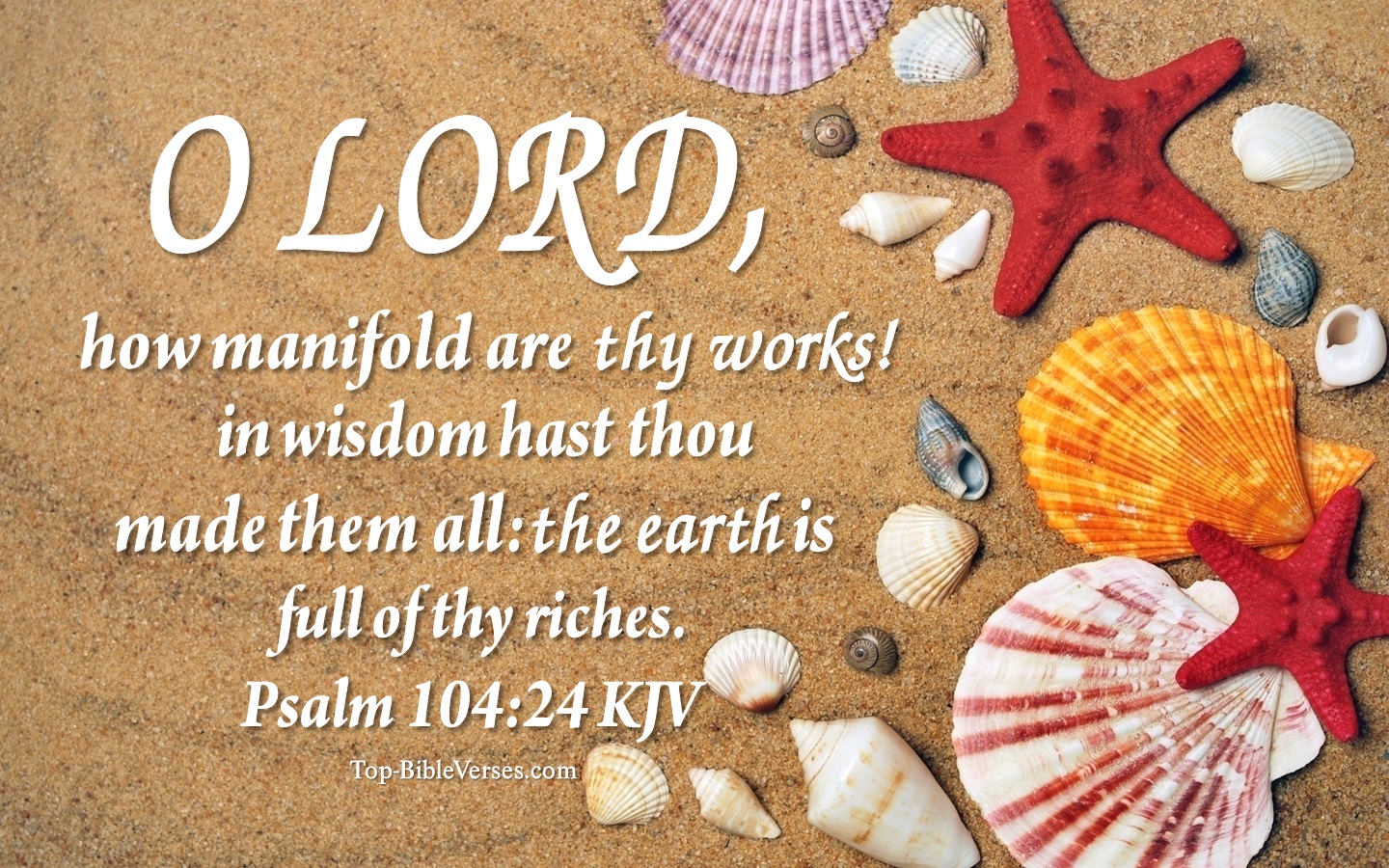 O LORD, how manifold are thy works! in wisdom hast thou made them all: the earth is full of thy riches.