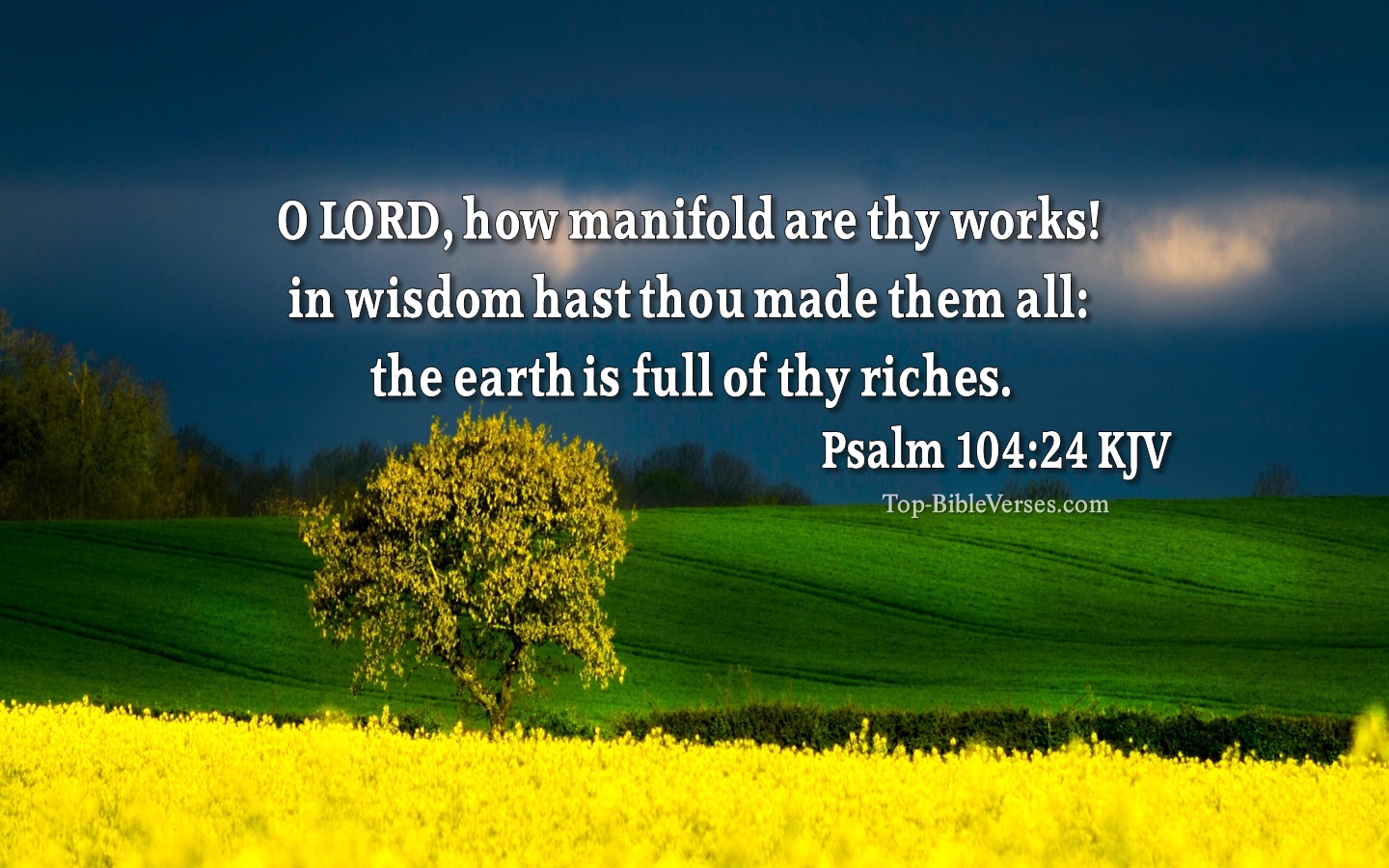 Psalm 104:24 KJV Bible Quotes And Images