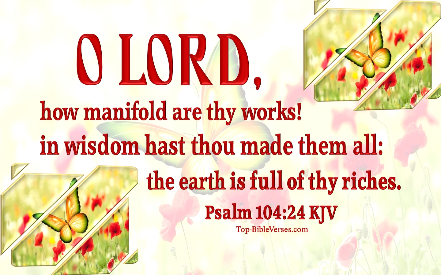 Psalm 104 KJV Inspiring Bible Verse Images | Psalm 104 Bible Quotes