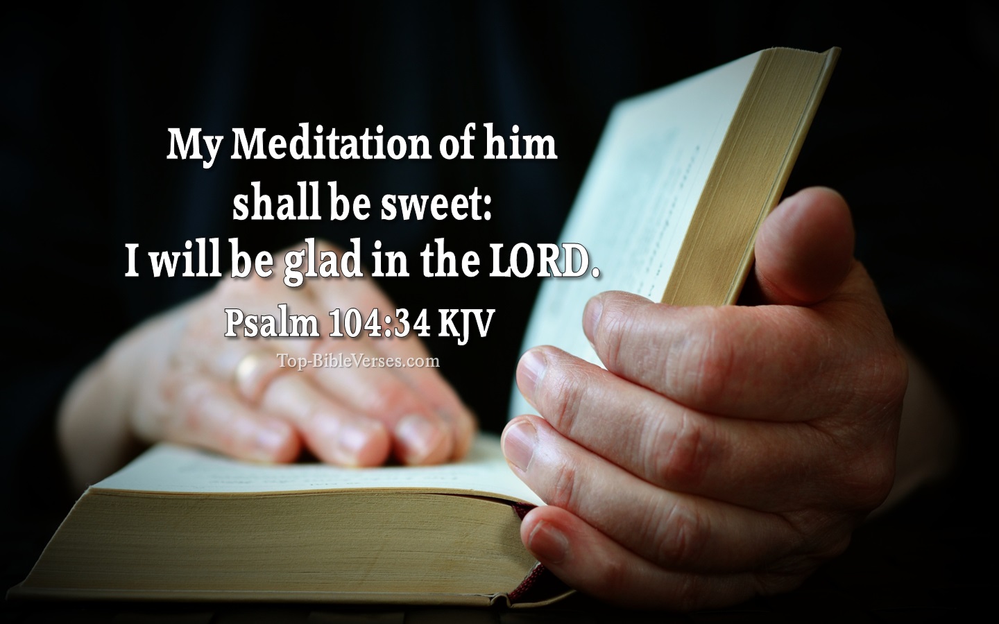 Psalm 104:34 KJV Inspirational Bible Verse Images And Pictures