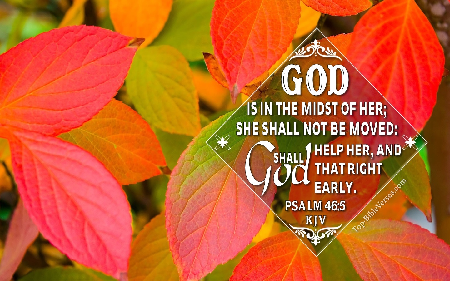 Psalm 46:5 KJV Christian Bible Verse Desktop Wallpaper. Top-BibleVerses.com