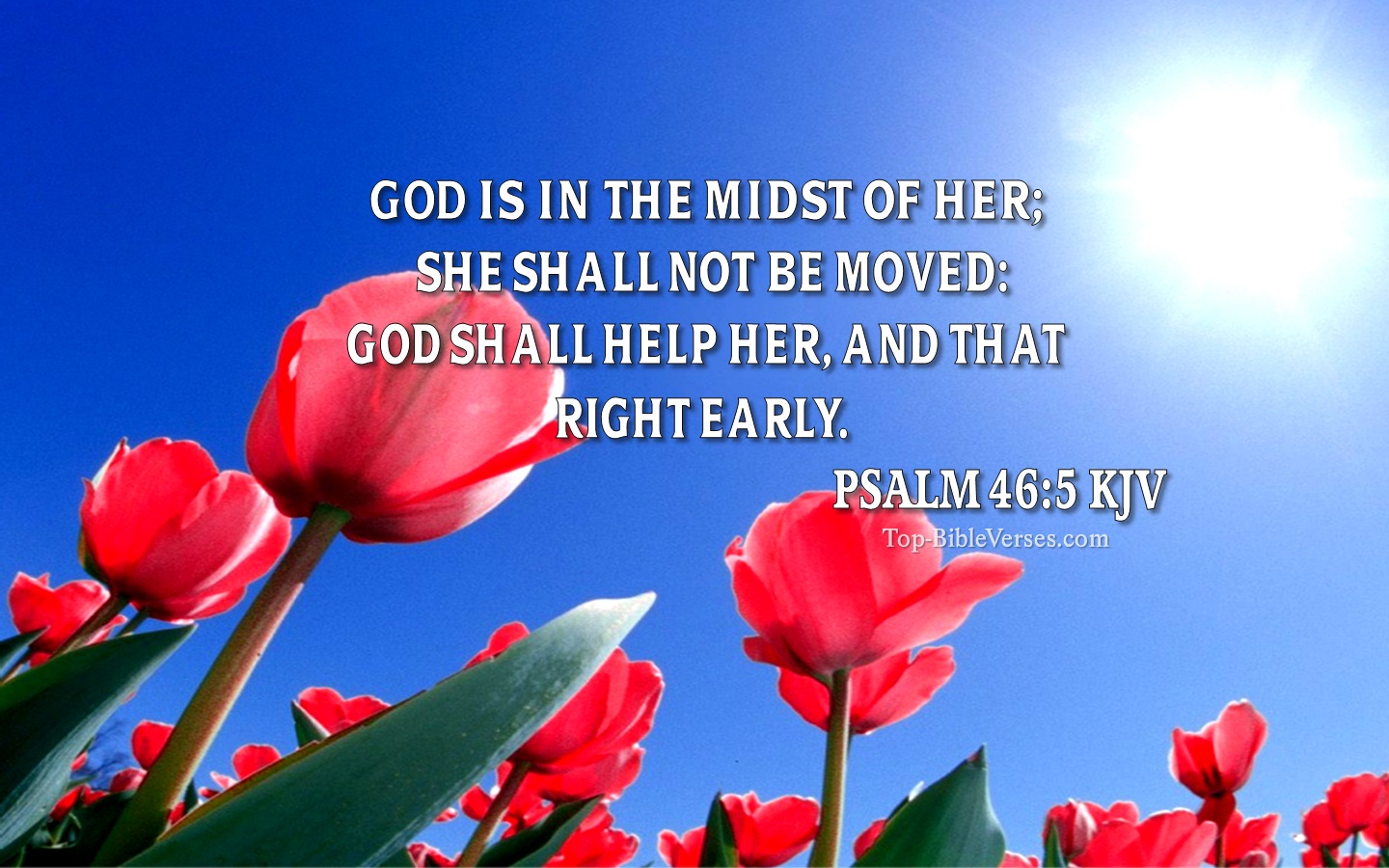 Psalm 46:5 KJV Christian Bible Verse Desktop Wallpaper. Top-BibleVerses.com