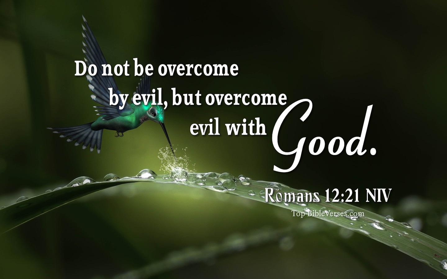 Romans 12:21 NIV Inspirational Bible Verse Images. Top-BibleVerses.com