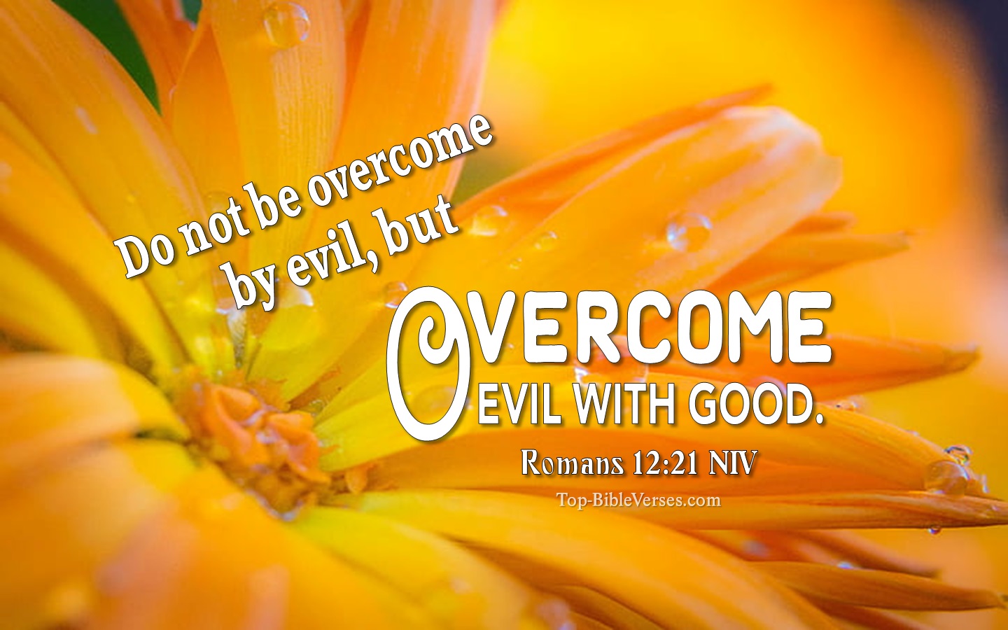 Romans 12:21 NIV Inspirational Bible Verse Images. Top-BibleVerses.com
