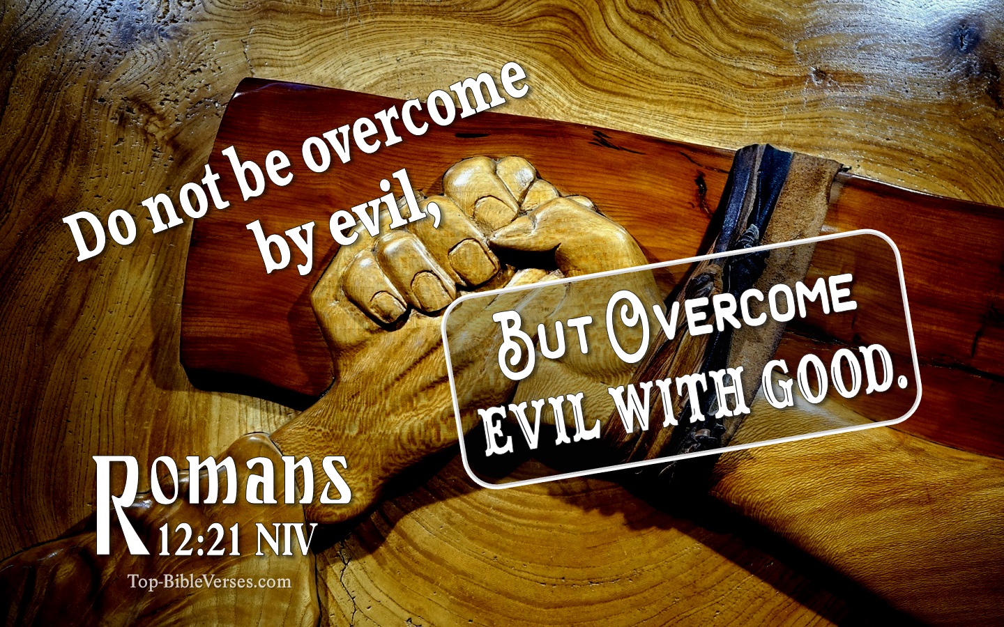 Romans 12:21 NIV Inspirational Bible Verse Images. Top-BibleVerses.com