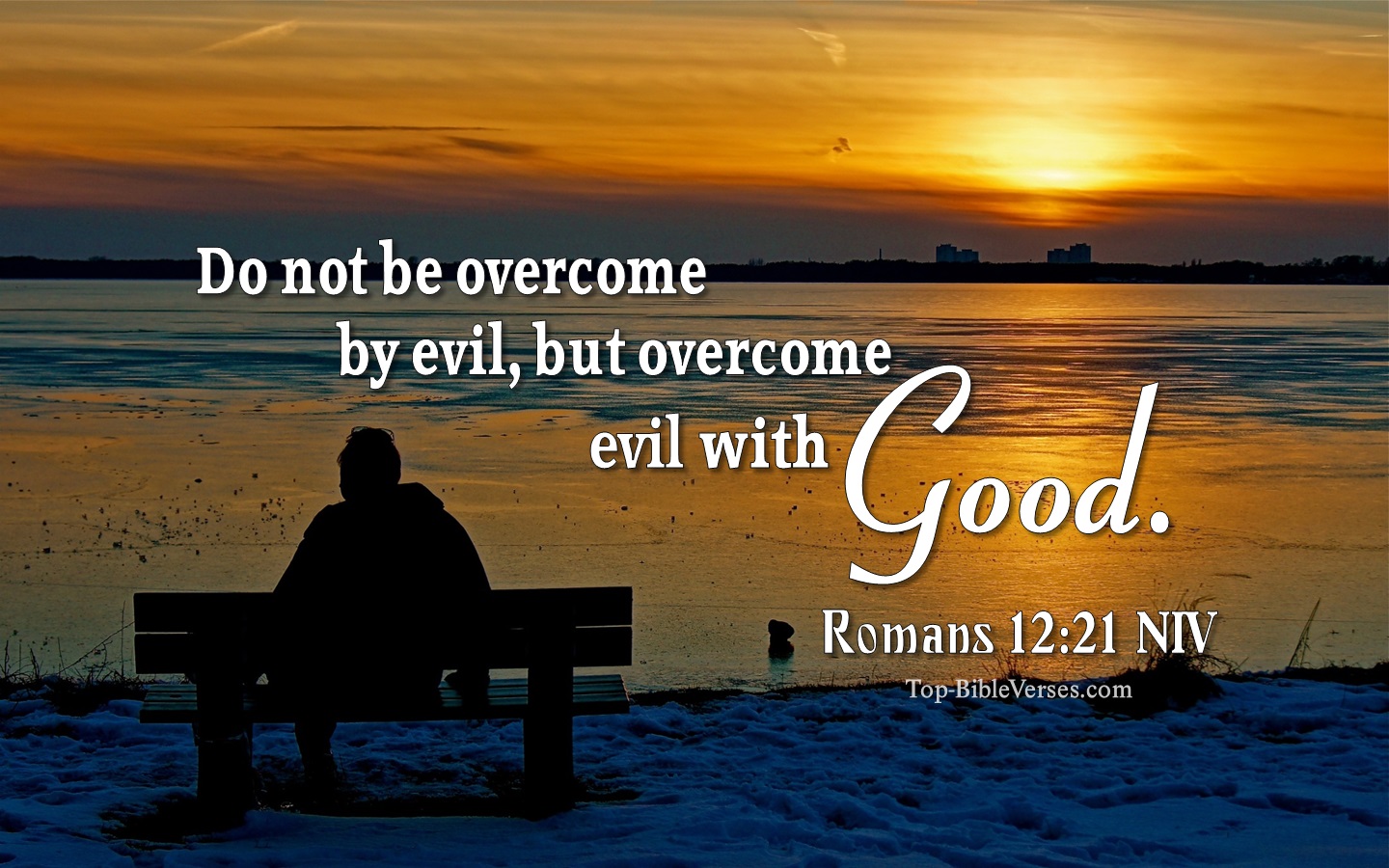 Romans 12:21 NIV Inspirational Bible Verse Images. Top-BibleVerses.com