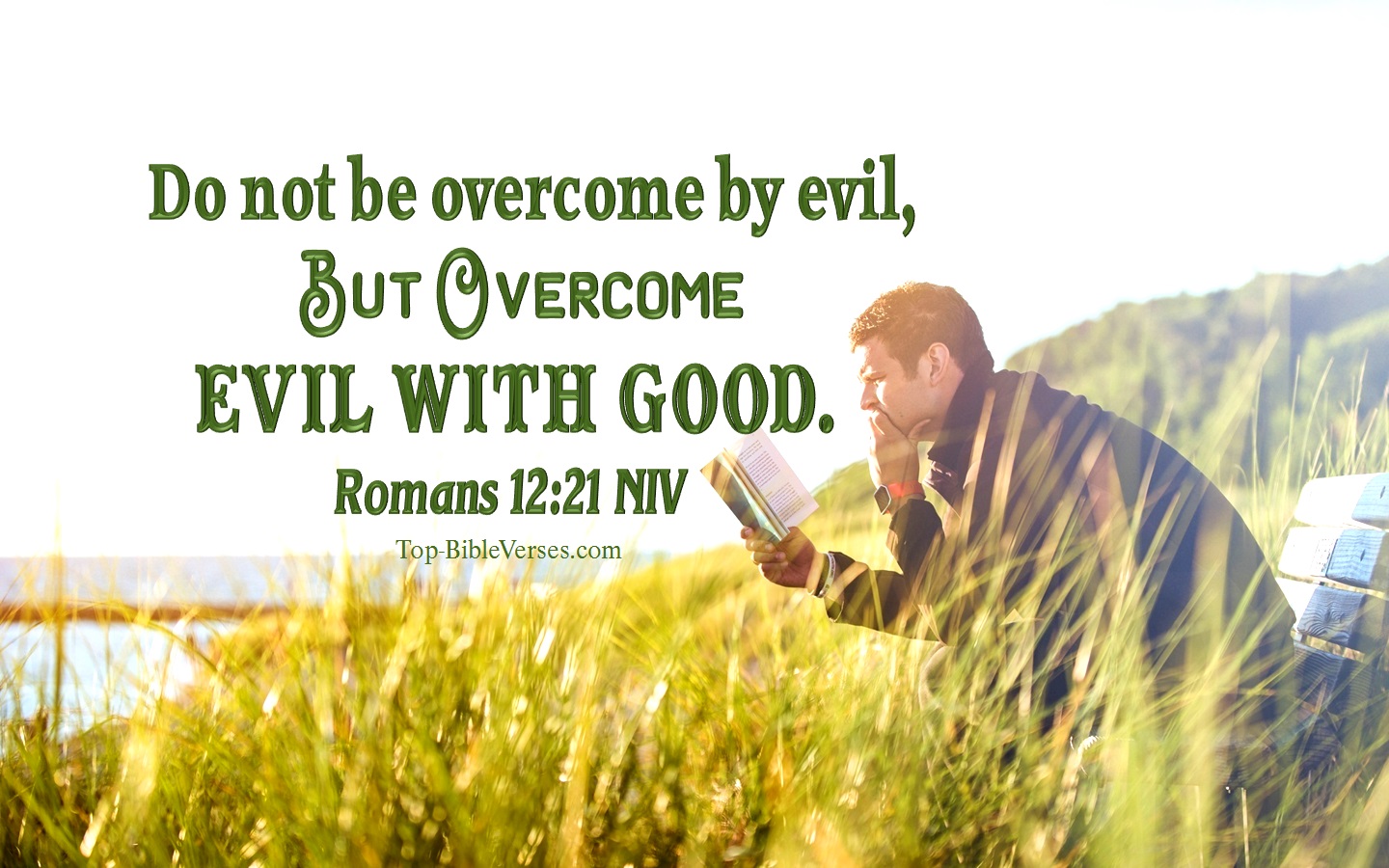 Romans 12:21 NIV Inspirational Bible Verse Images. Top-BibleVerses.com